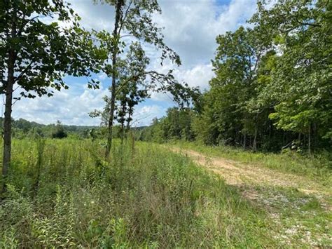 First Name . . Unrestricted land with creek for sale
